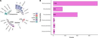 Whole-Genome Sequencing and Analysis of the White-Rot Fungus Ceriporia lacerata Reveals Its Phylogenetic Status and the Genetic Basis of Lignocellulose Degradation and Terpenoid Synthesis